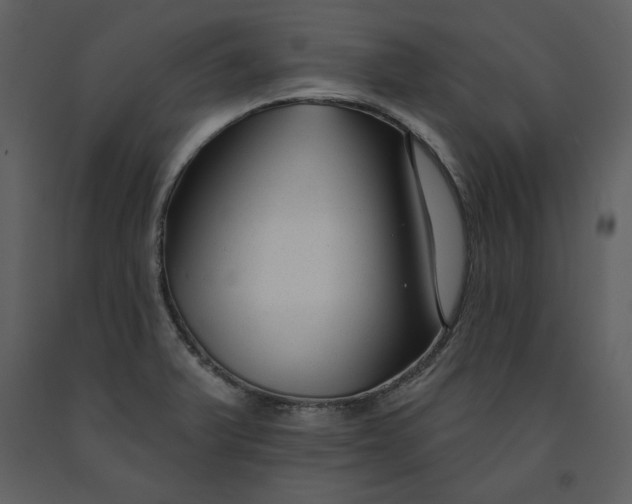 X0000090951375200708241118