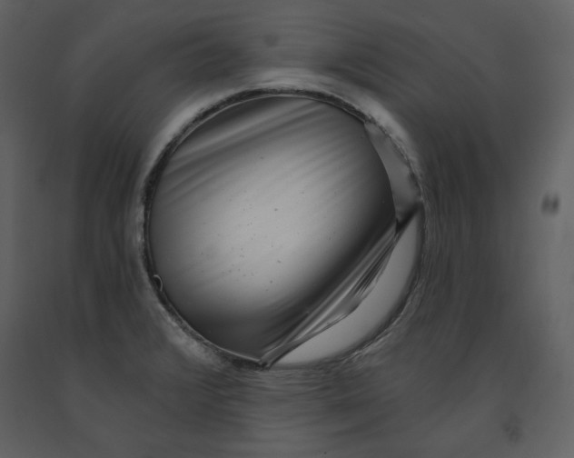 X0000090951376200708241118