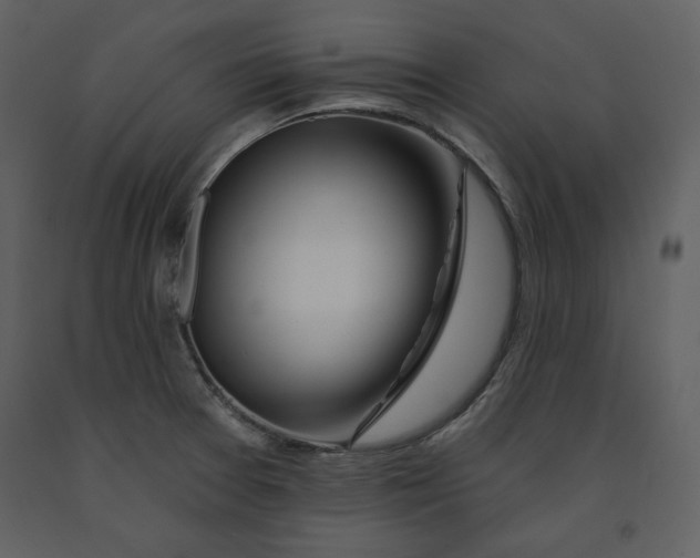 X0000090951377200708241118