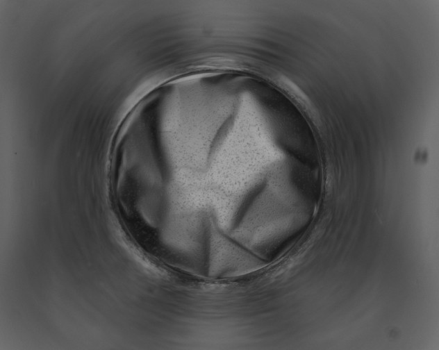 X0000090951378200708241118