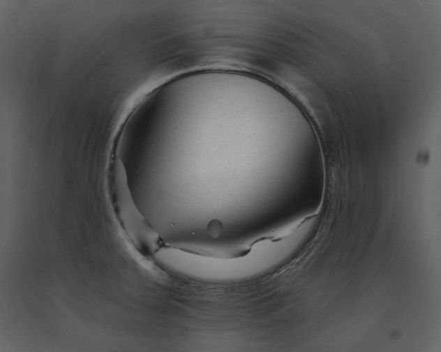 X0000090951379200708241118
