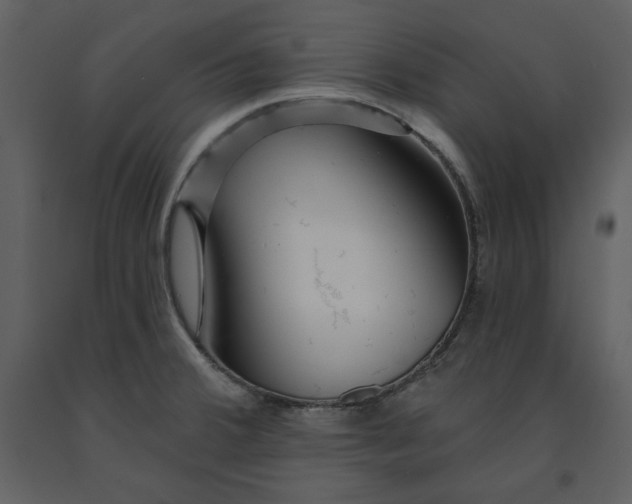 X0000090951380200708241118