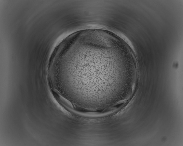 X0000090951381200708241118