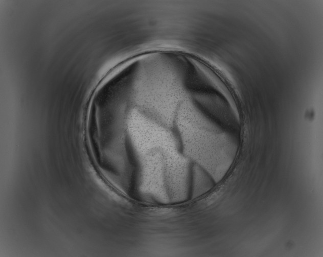 X0000090951382200708241118