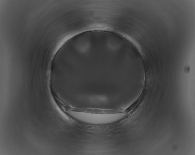 X0000090951383200708241118