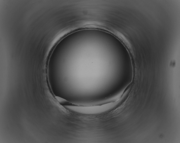 X0000090951384200708241118