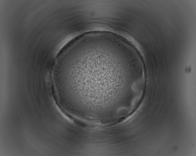 X0000090951385200708241118