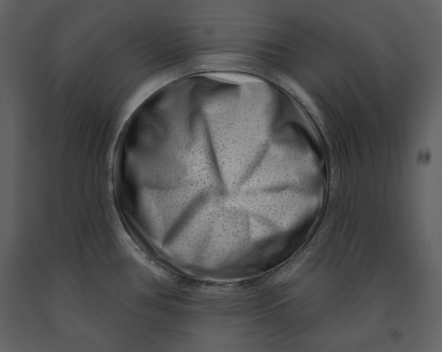 X0000090951386200708241118