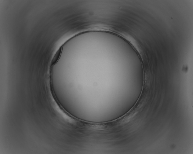 X0000090951387200708241118