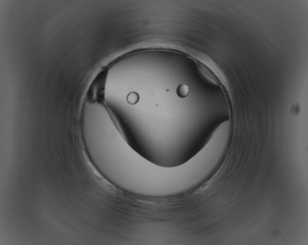 X0000090951388200708241118