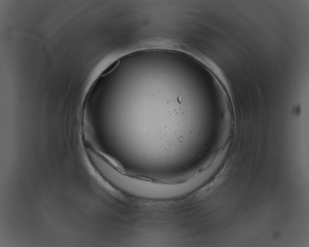 X0000090951389200708241118