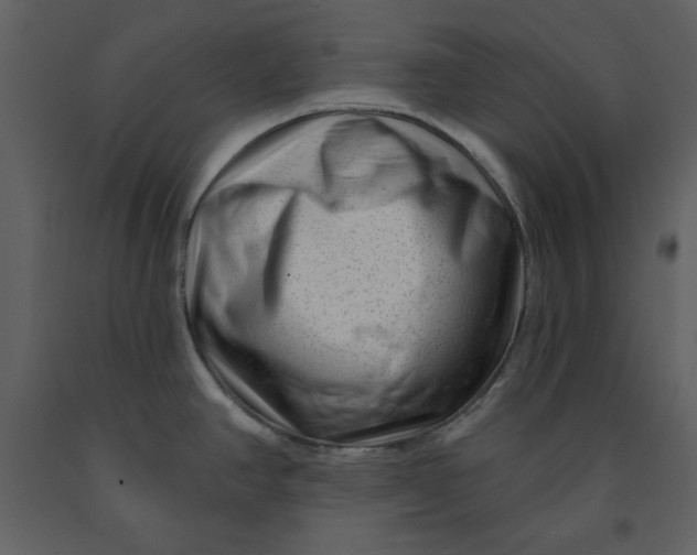 X0000090951390200708241118