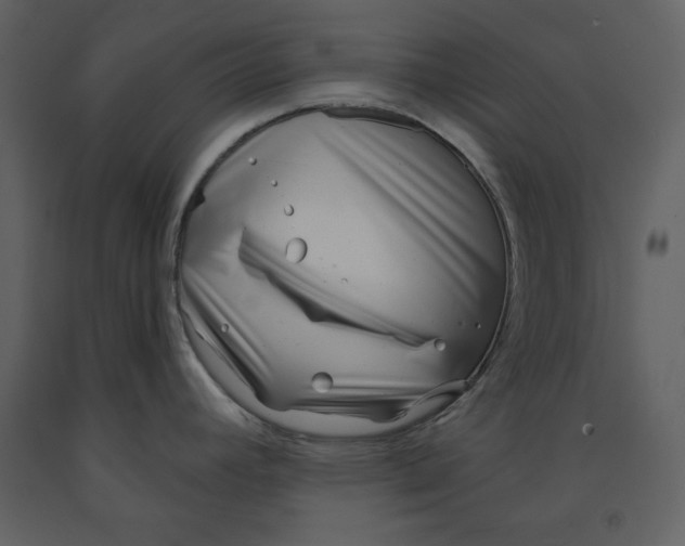 X0000090951392200708241118