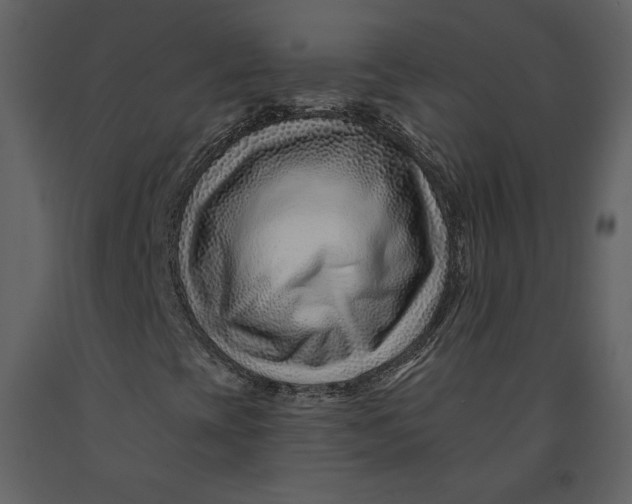 X0000090951393200708241117