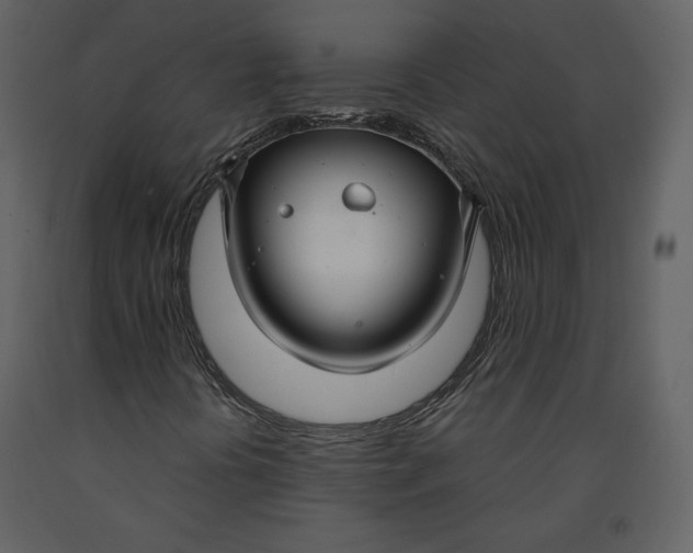 X0000090951394200708241117