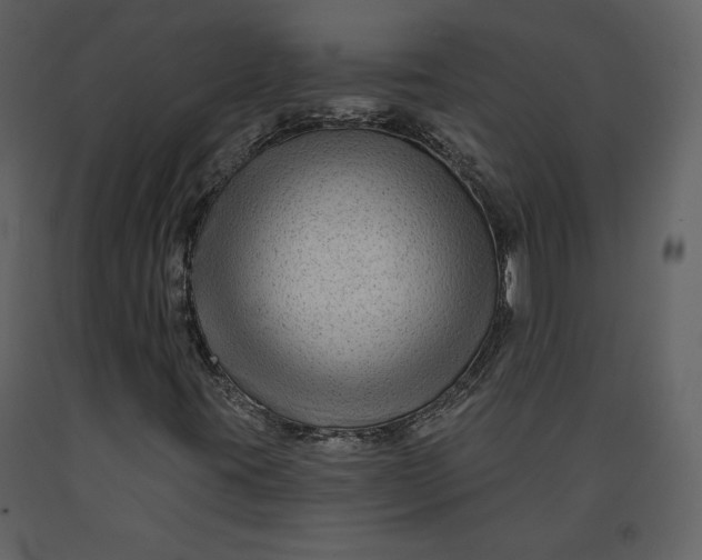 X0000090951395200708241117