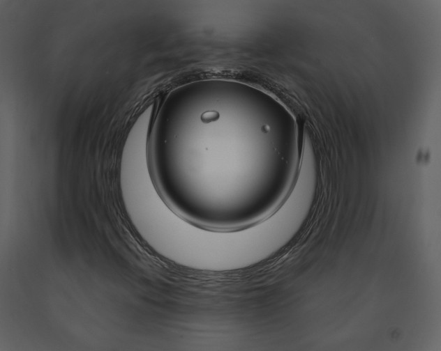 X0000090951396200708241117