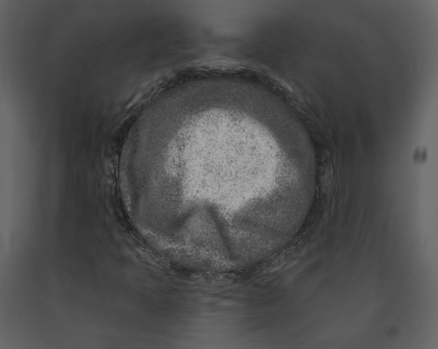 X0000090951397200708241117