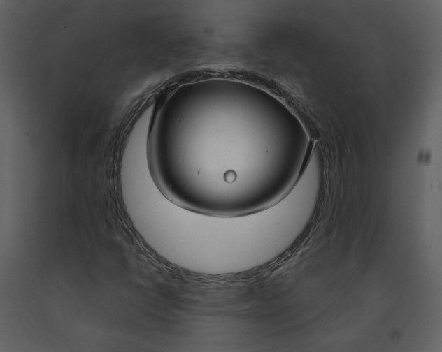 X0000090951398200708241117