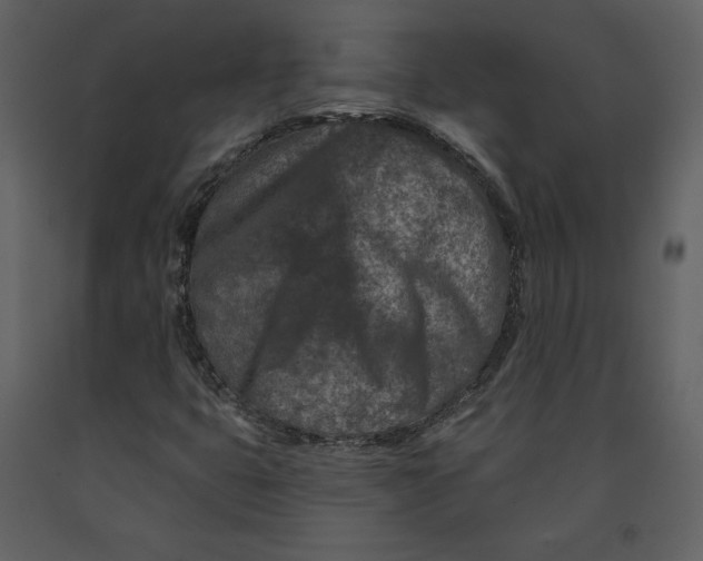 X0000090951399200708241117