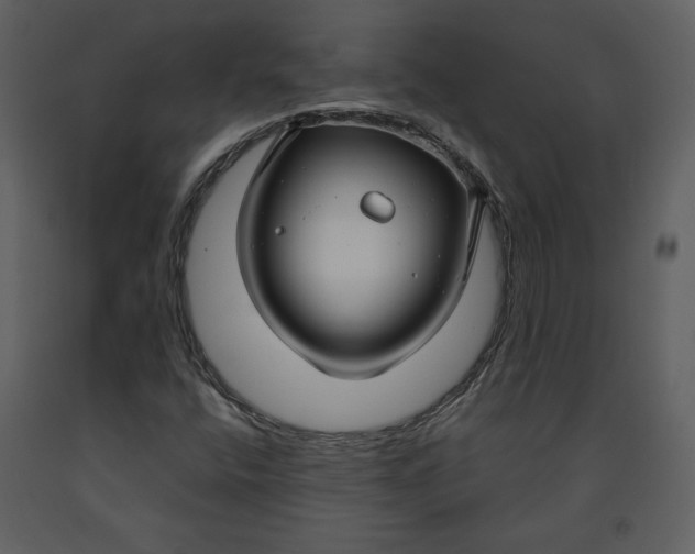 X0000090951400200708241117