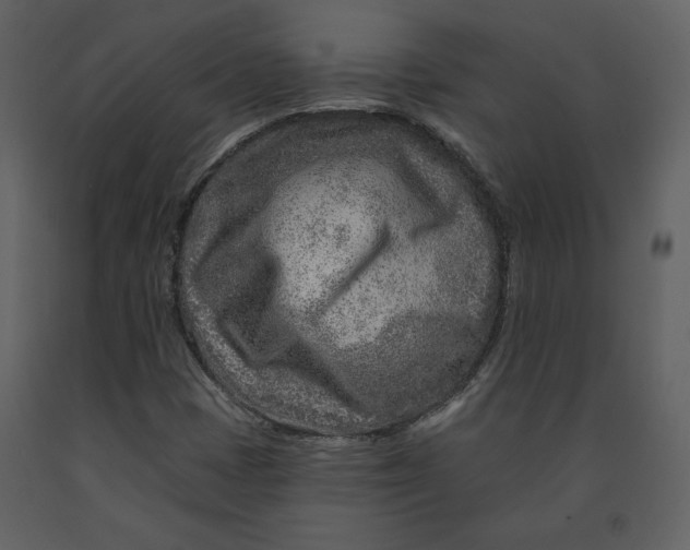 X0000090951401200708241117