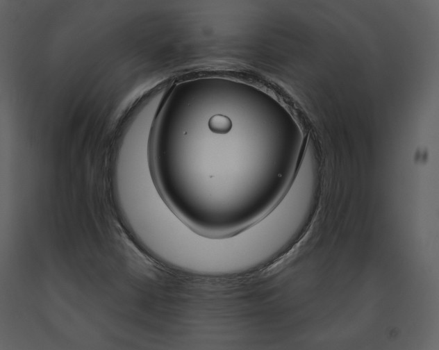 X0000090951402200708241117