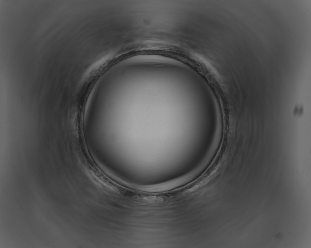 X0000090951403200708241117