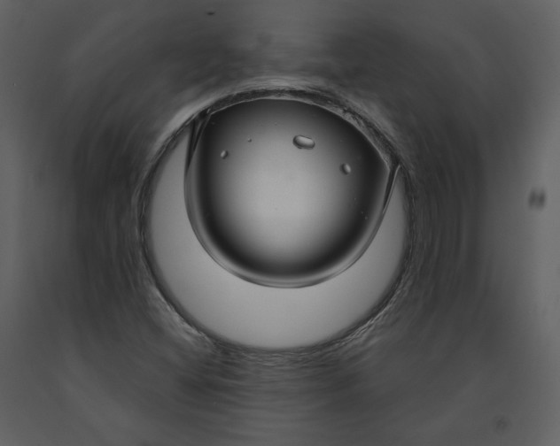 X0000090951404200708241117
