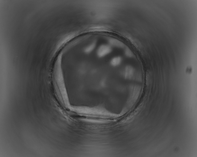 X0000090951405200708241117