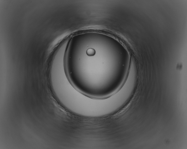 X0000090951406200708241117