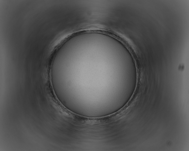X0000090951407200708241117