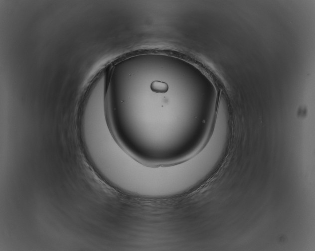 X0000090951408200708241117