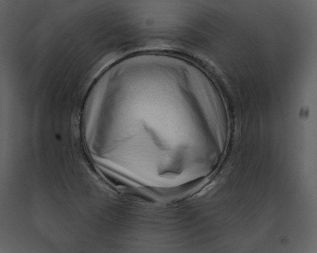 X0000090951409200708241117