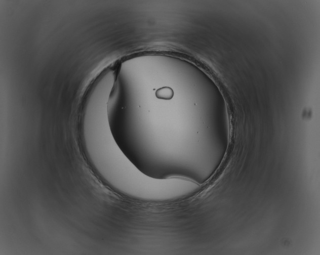 X0000090951410200708241117