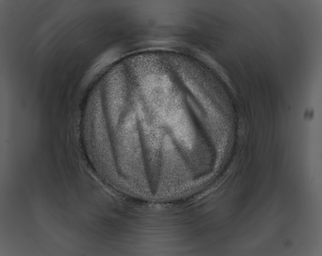 X0000090951411200708241117
