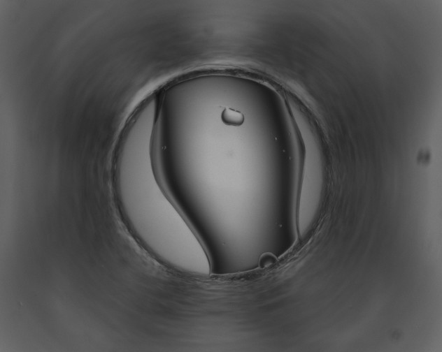 X0000090951412200708241117