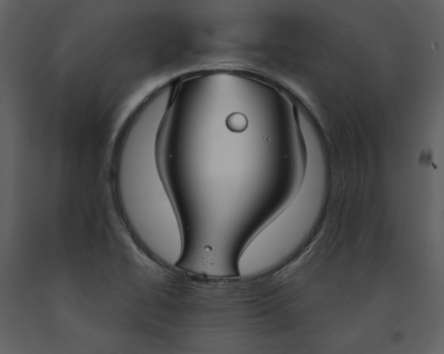 X0000090951414200708241117