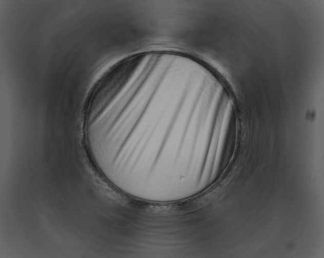 X0000090951415200708241117