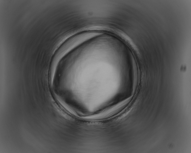 X0000090951417200708241117