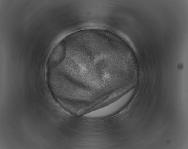 X0000090951419200708241117