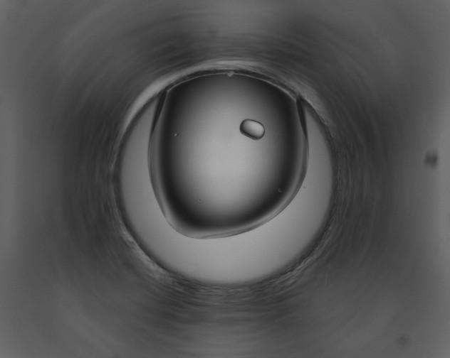 X0000090951420200708241117
