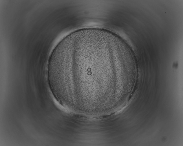 X0000090951421200708241117