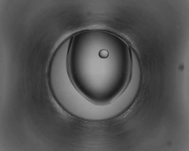 X0000090951422200708241117
