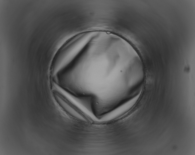 X0000090951423200708241117