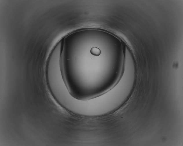 X0000090951424200708241117