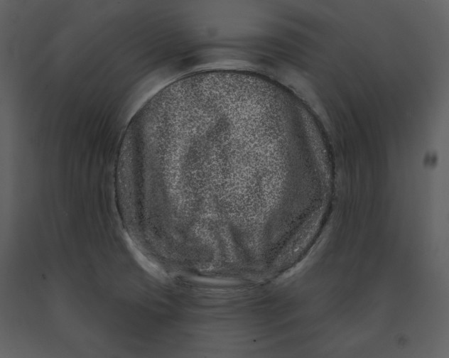 X0000090951425200708241117