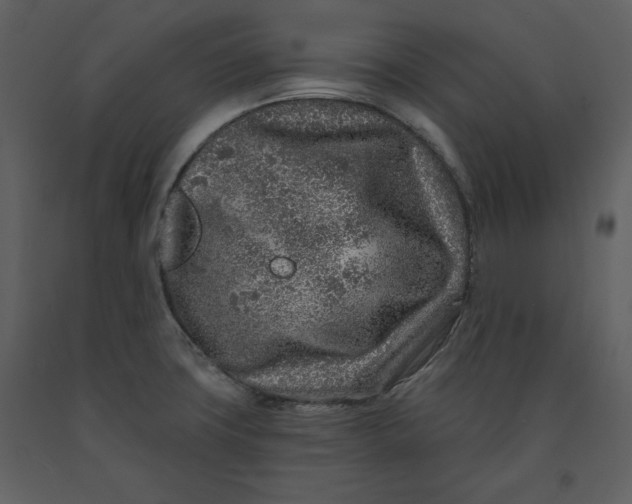 X0000090951427200708241117