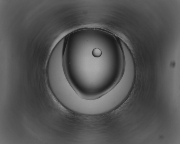 X0000090951428200708241117