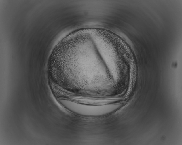 X0000090951429200708241117